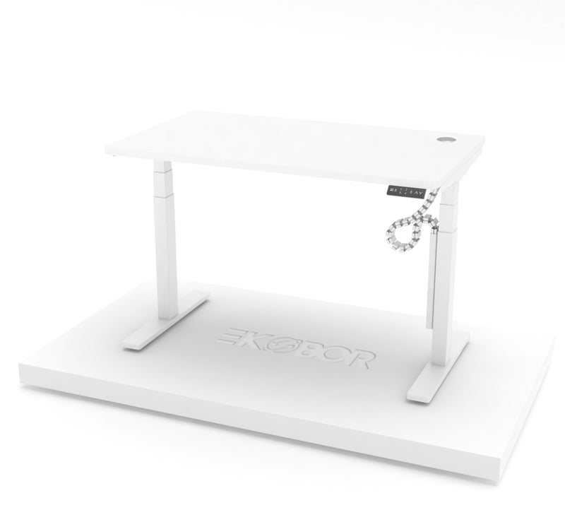 EKOBOR I-EASY Dual motors desk