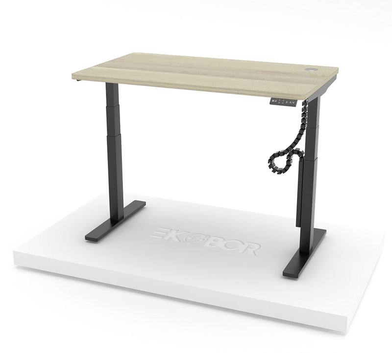 EKOBOR I-EASY Dual motors desk