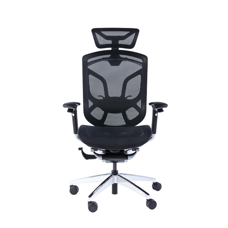 GTCHAIR Dvary X - Ergonomic Mesh Chair