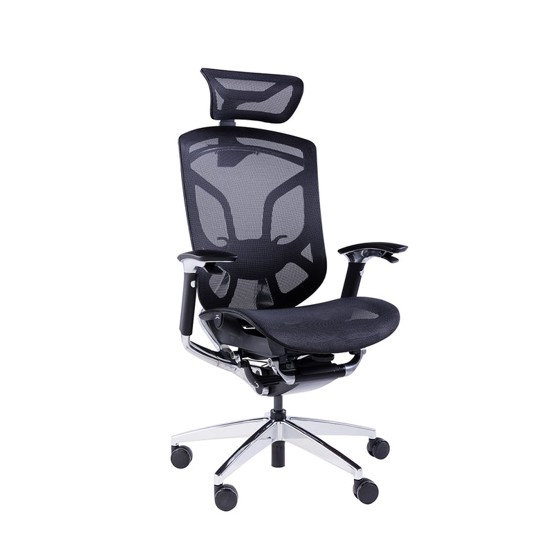 GTCHAIR Dvary X - Ergonomic Mesh Chair