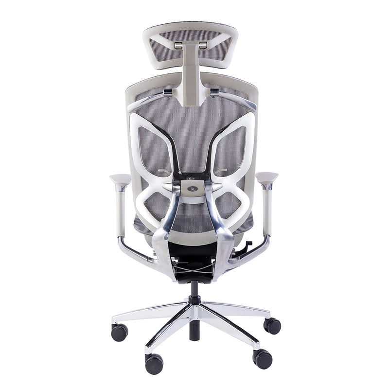 GTCHAIR Dvary X - Ergonomic Mesh Chair