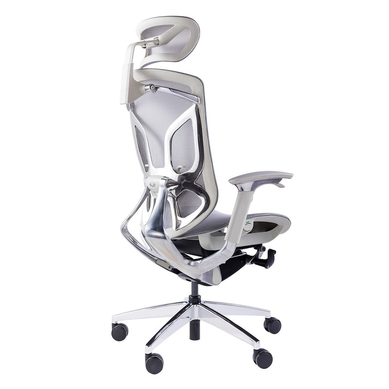 GTCHAIR Dvary X - Ergonomic Mesh Chair