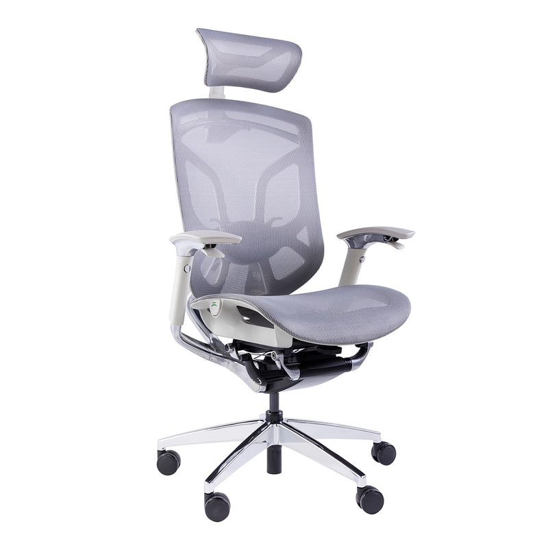 GTCHAIR Dvary X - Ergonomic Mesh Chair