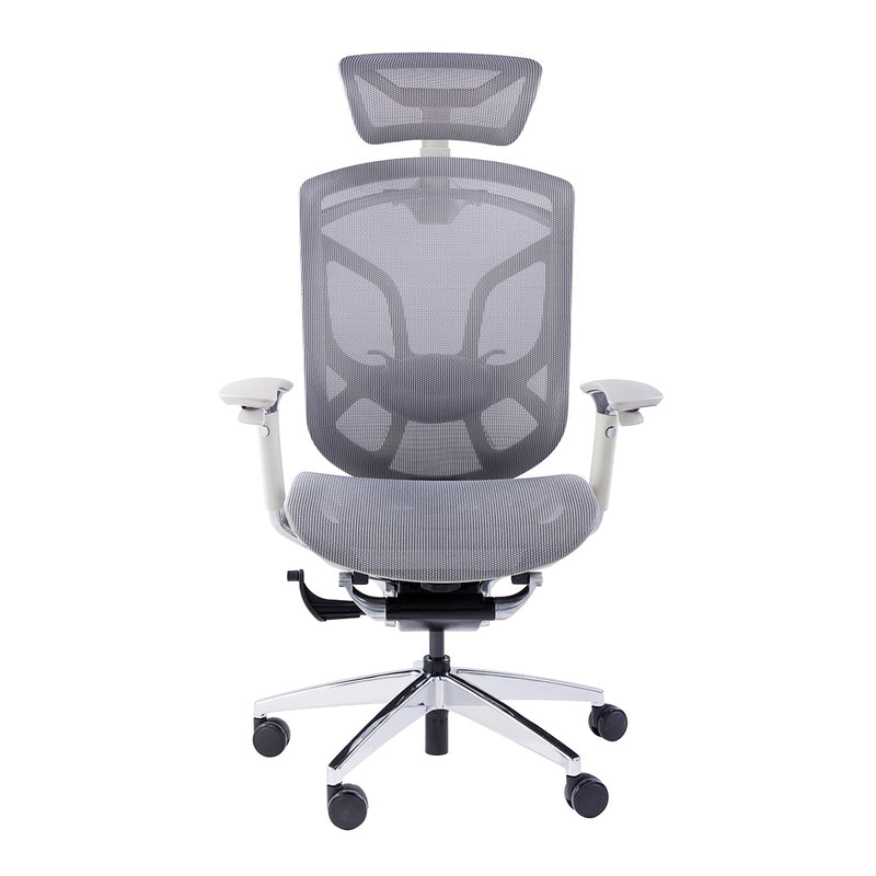 GTCHAIR Dvary X - Ergonomic Mesh Chair