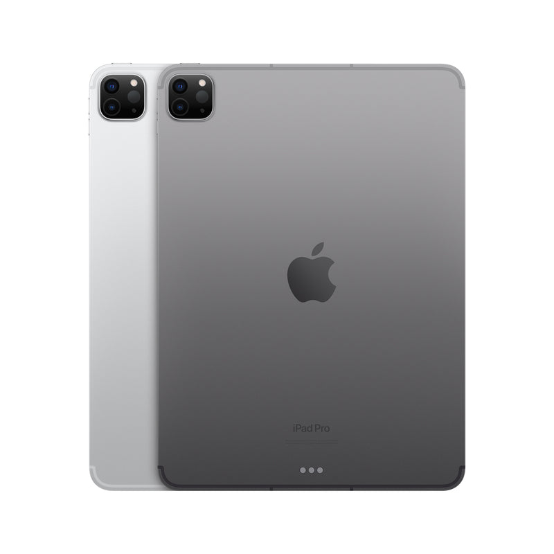 APPLE iPad Pro 11-inch (4th Gen 2022)