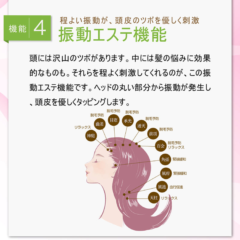 Belulu 多功能頭部護理梳