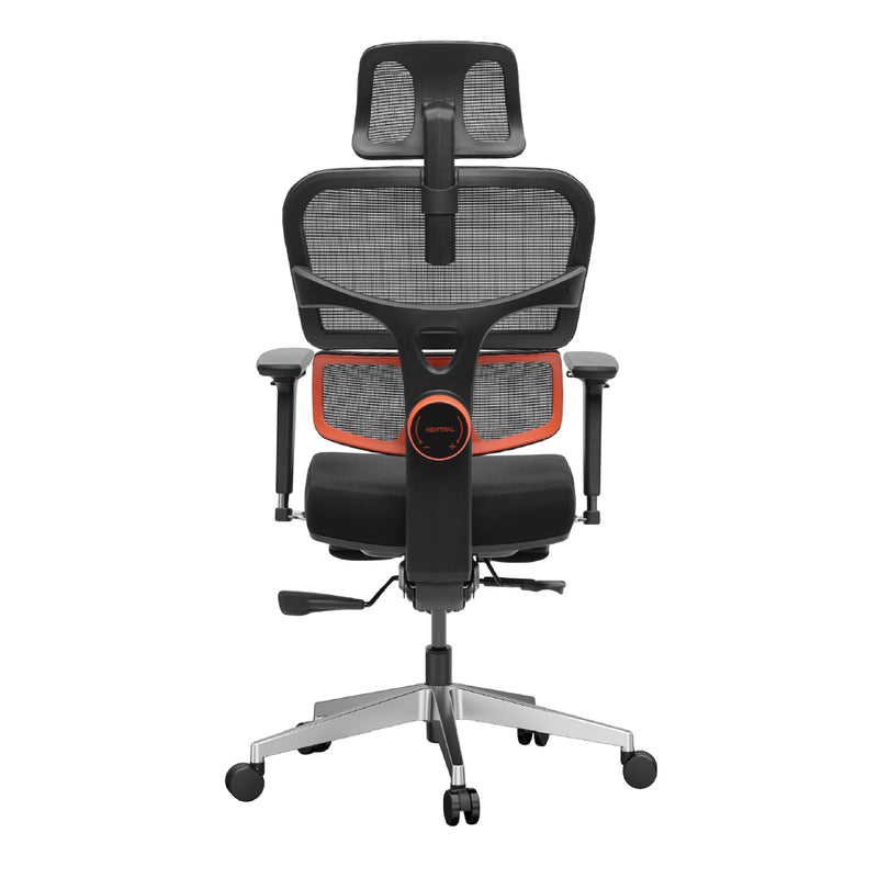 NEWTRAL Ergonomic Chair with Unique Adaptive Lower Back Support (Pro Version)