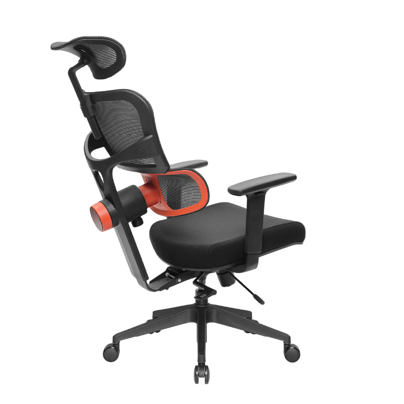 NEWTRAL Ergonomic Chair with Unique Adaptive Lower Back Support (Standard)