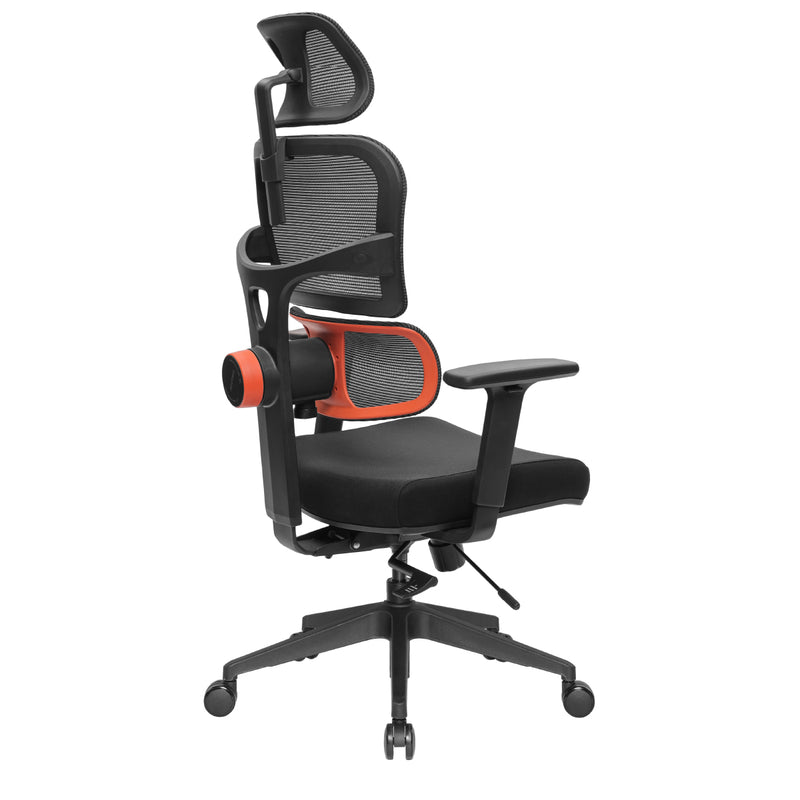 NEWTRAL Ergonomic Chair with Unique Adaptive Lower Back Support (Standard)