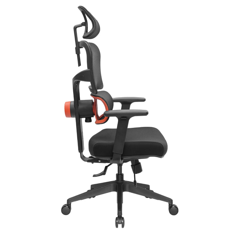 NEWTRAL Ergonomic Chair with Unique Adaptive Lower Back Support (Standard)