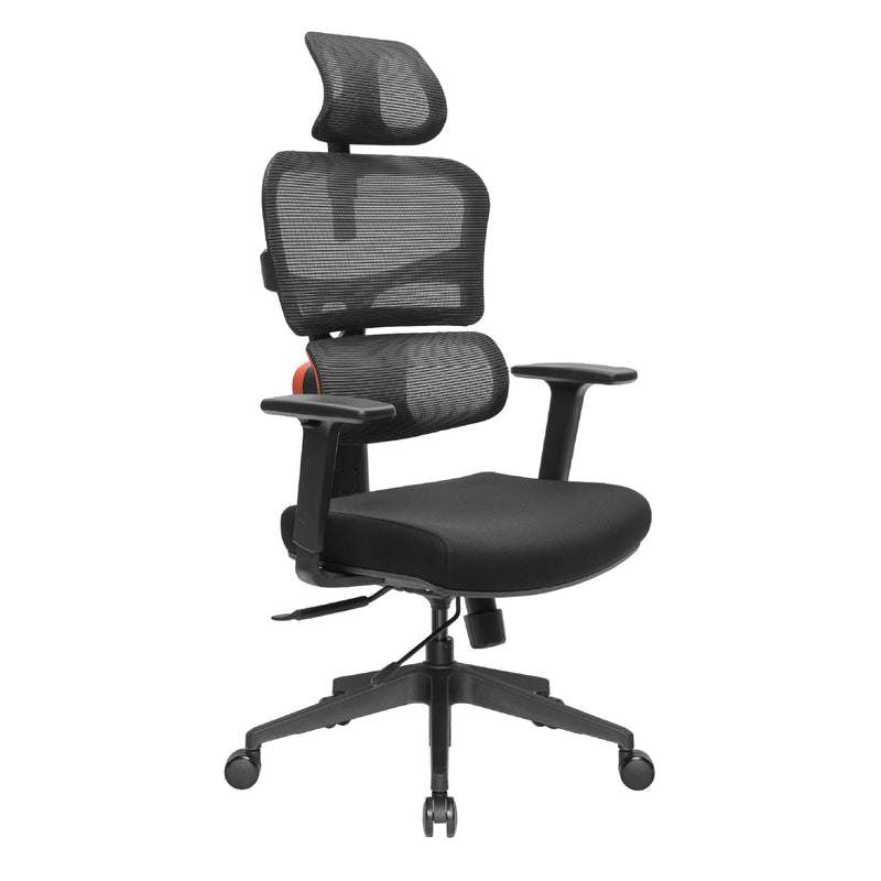 NEWTRAL Ergonomic Chair with Unique Adaptive Lower Back Support (Standard)