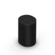 Sonos Era 100 Wireless Speaker