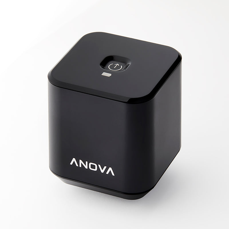 Anova ANHV01-UK00 Precision Port Cordless Handheld Vacuum