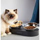 PETKIT Nano Metal Stainless Steel Adjustable Cat Feeding Bowl (Double)