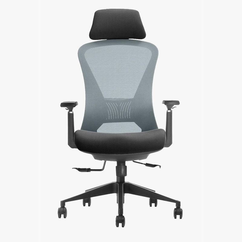 EKOBOR Galaxy Full Function Ergonomic Chair