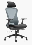 EKOBOR Galaxy Full Function Ergonomic Chair