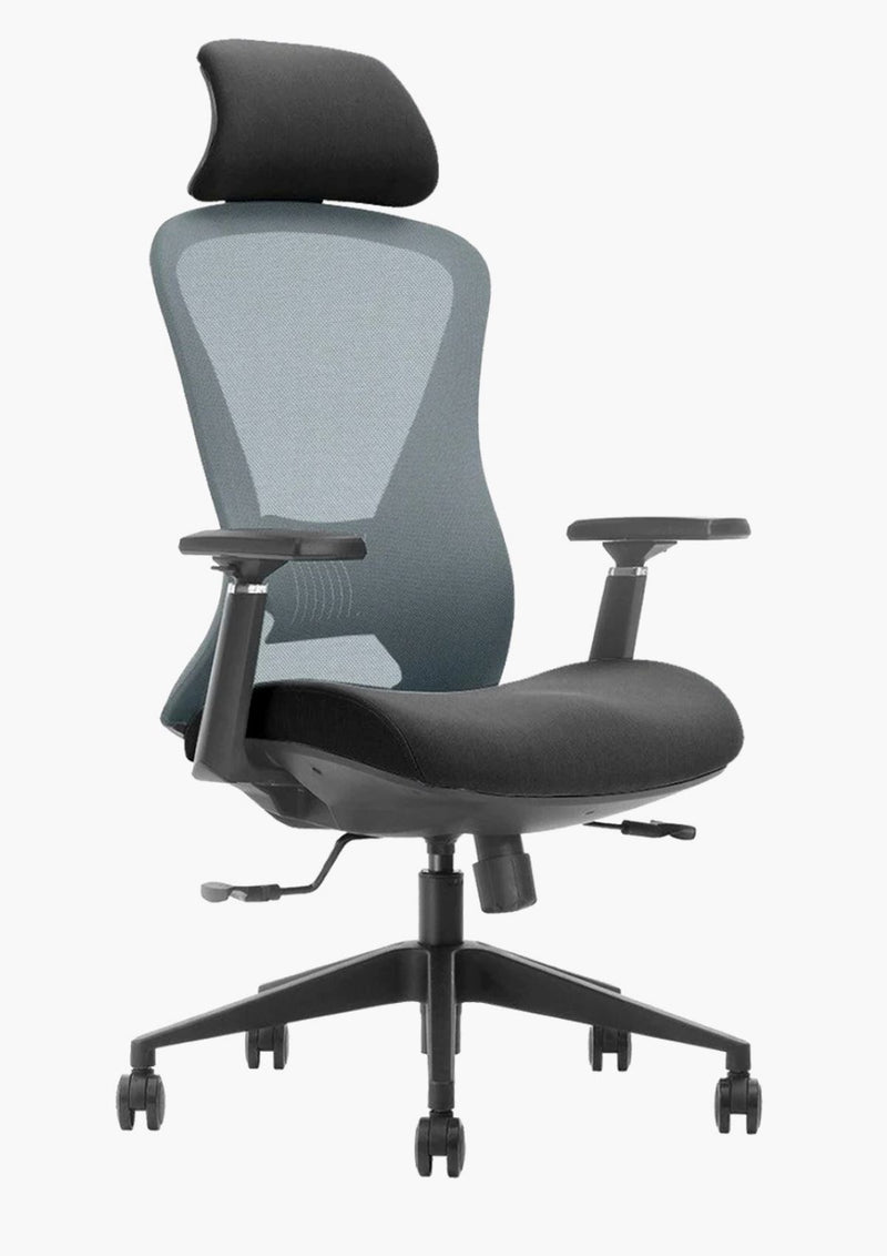 EKOBOR Galaxy Full Function Ergonomic Chair