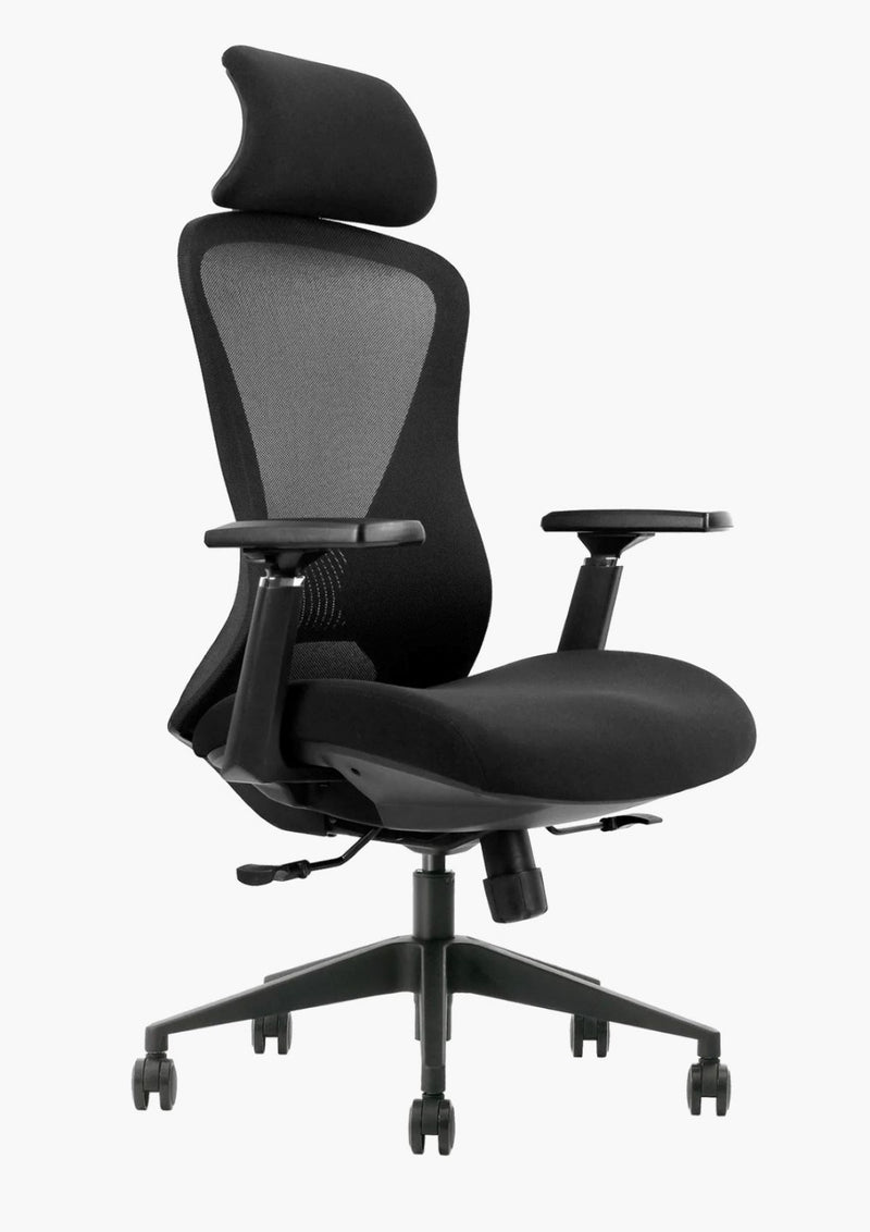 EKOBOR Galaxy Full Function Ergonomic Chair