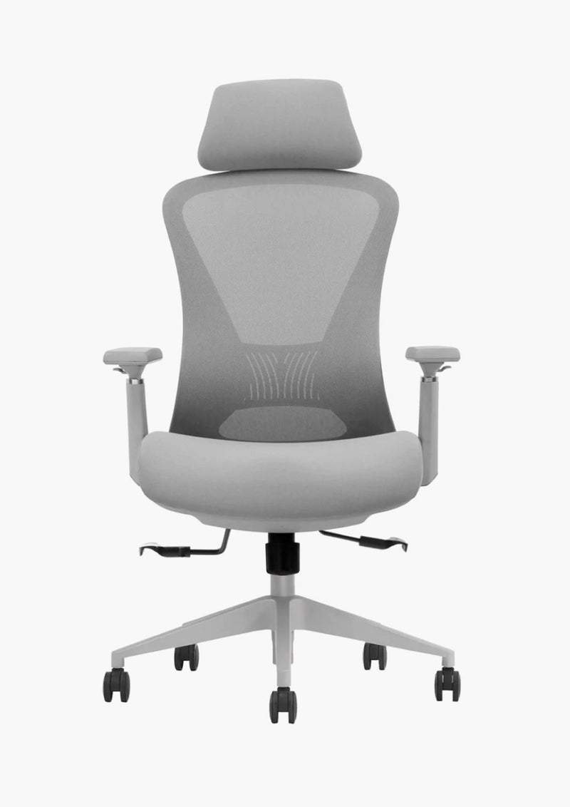 EKOBOR Galaxy Full Function Ergonomic Chair