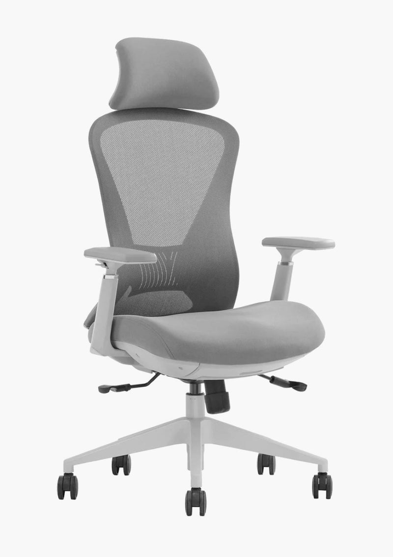 EKOBOR Galaxy Full Function Ergonomic Chair