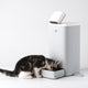 HHOLove O-SITTER Smart Cat Feeder