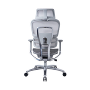Zenox Ten-E Series Office Chair