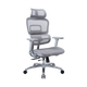 Zenox Ten-E Series Office Chair