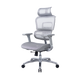 Zenox Ten-E Series Office Chair