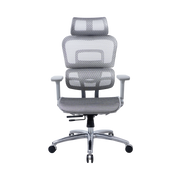 Zenox Ten-E Series Office Chair