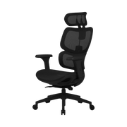 Zenox Shiho Series Office Chair