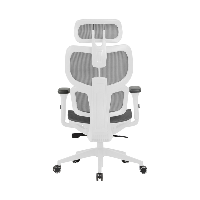 Zenox Shiho Series Office Chair