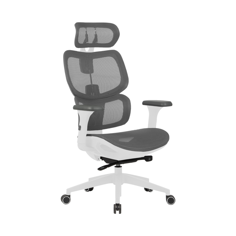 Zenox Shiho Series Office Chair