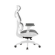 Zenox Shiho Series Office Chair