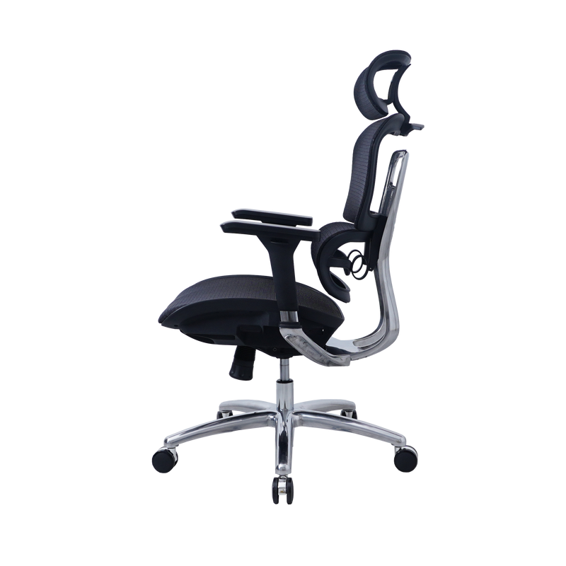Zenox Ten-E Series Office Chair
