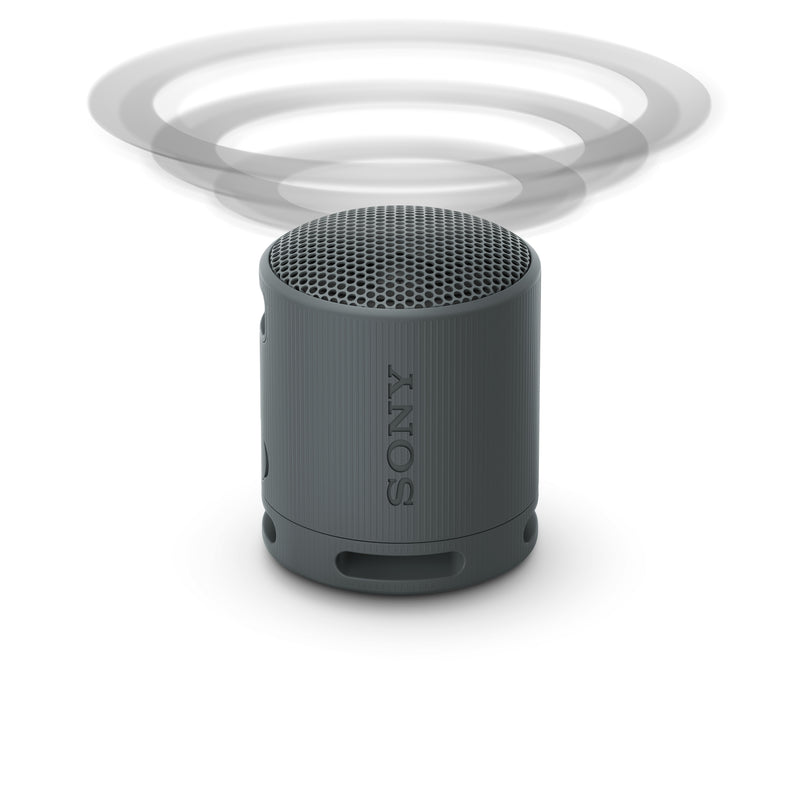 SONY SRS-XB100 Speaker