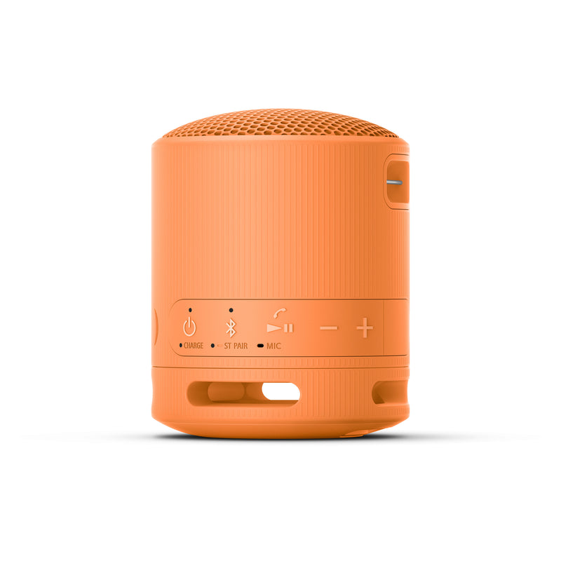 SONY 索尼 SRS-XB100 音箱