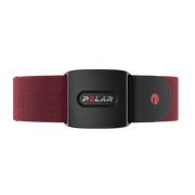 Polar 光學心率傳感器