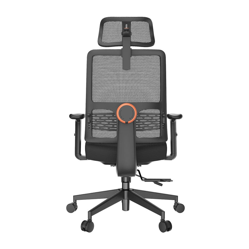 NEWTRAL Ergonomic Chair with Unique Adaptive Lower Back Support (Standard Version)