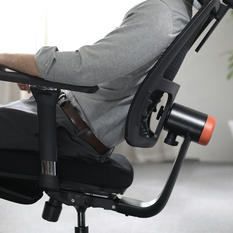 NEWTRAL Ergonomic Chair with Unique Adaptive Lower Back Support (Standard Version)