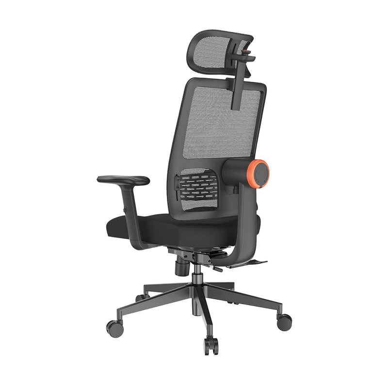 NEWTRAL Ergonomic Chair with Unique Adaptive Lower Back Support (Standard Version)