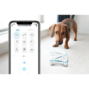 Cheerble Wickedbone Smart Interactive Bone Dog Toy