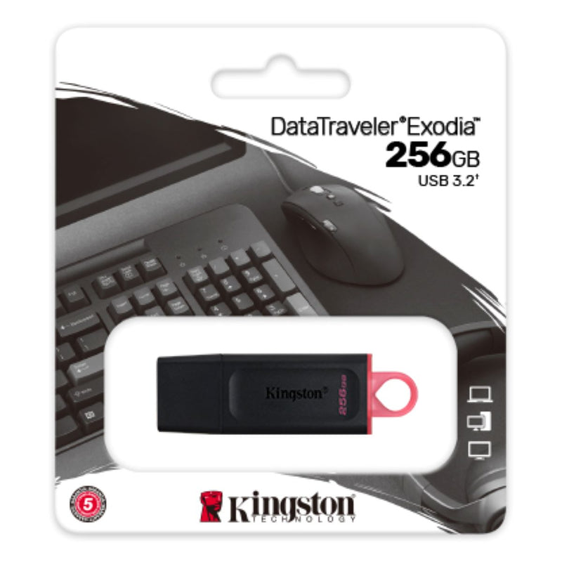 KINGSTON 金士頓 DataTraveler Exodia 256GB USB手指
