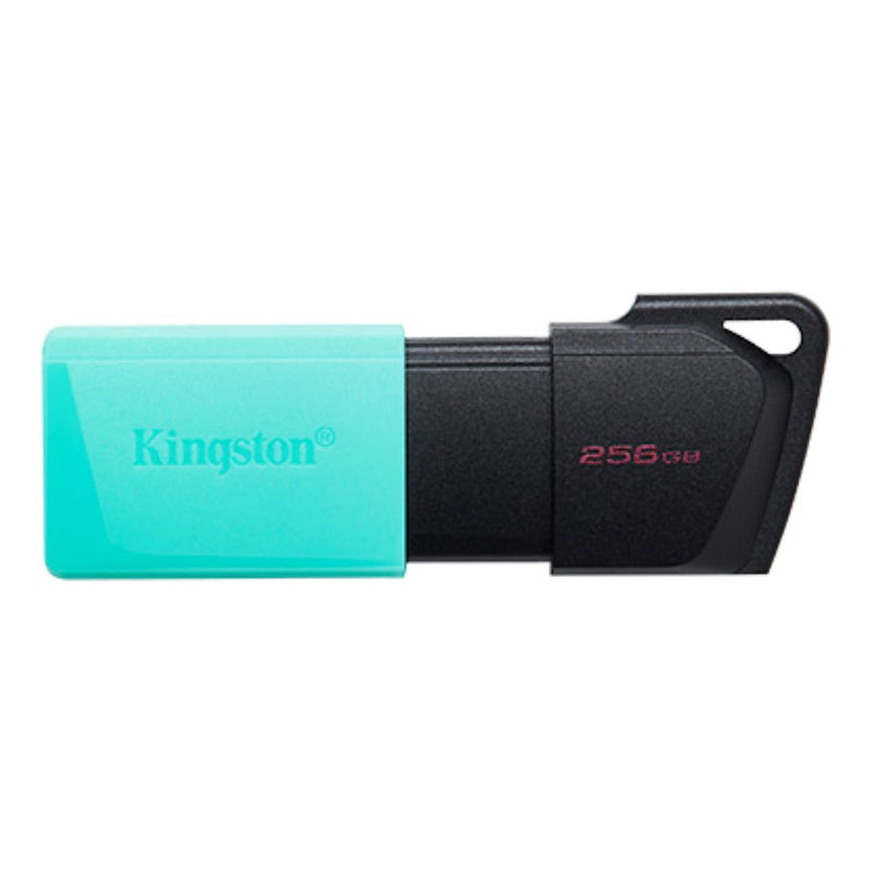 KINGSTON 金士頓 DataTraveler Exodia M 256GB USB手指