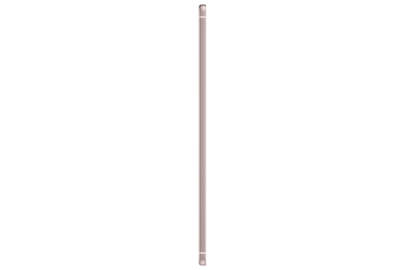 SAMSUNG 三星電子 Galaxy Tab S6 Lite (2024 Edition) 平板電腦