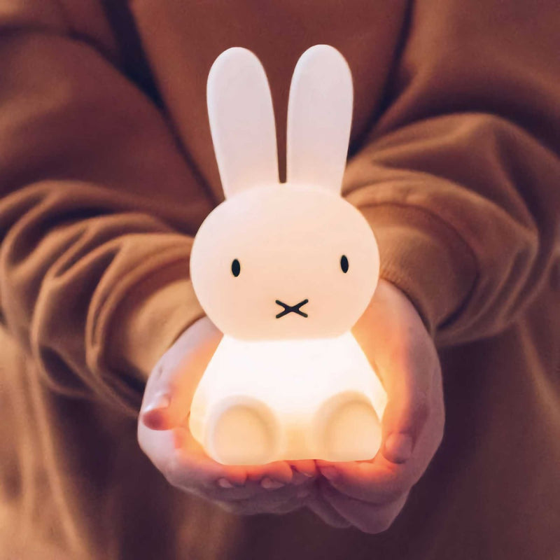 Mr. Maria Bundle of Light - Miffy