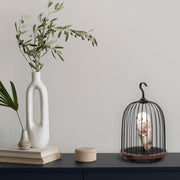 DaqiConcept JG01 鳥籠音響燈