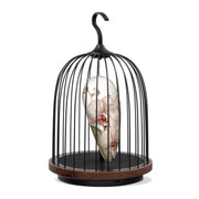 DaqiConcept JG01 鳥籠音響燈