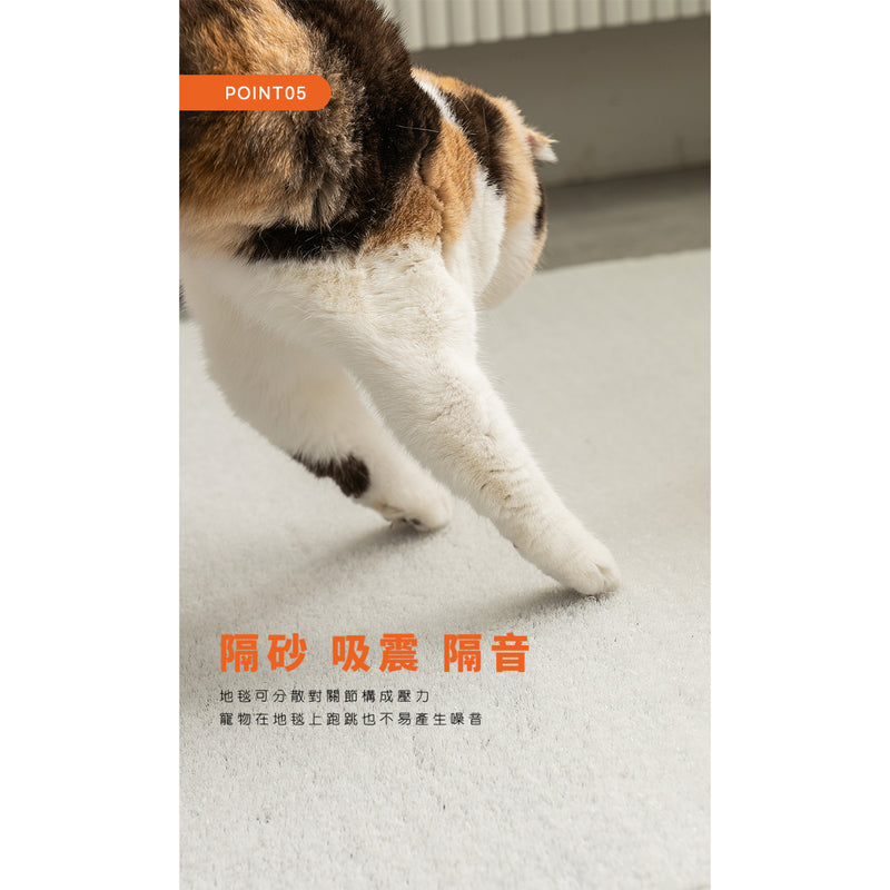 Dfang 隔砂尼龍地毯