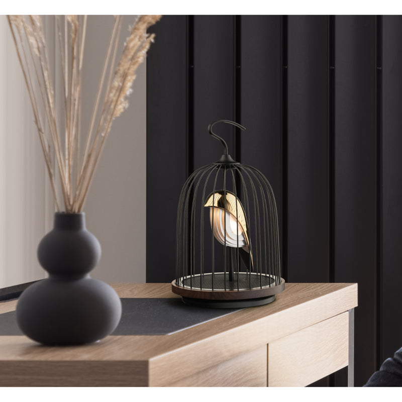 DaqiConcept JG01 Wireless Audio Light
