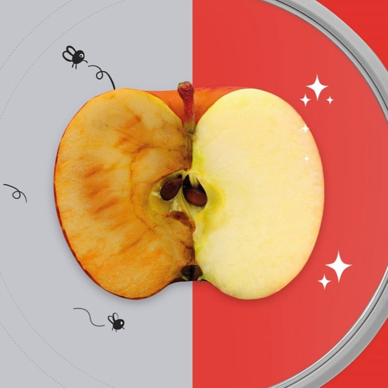 DeliOne FlexiLid 食物密存套件 - 8個裝
